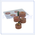 PNT-0735 plastinated blood vessels samples for sale